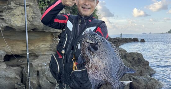 【必殺の牙突石垣‼︎】お手軽仕掛けで底物釣りが超楽しい‼