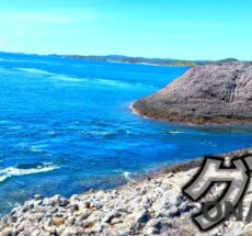 【玄界灘のスーパー離島】尾長グレと真っ向勝負!!漢は黙って２号竿!!