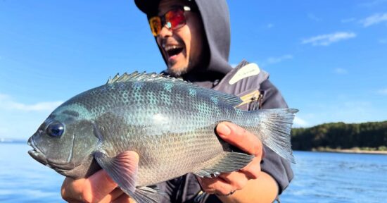 【556glass】北陸でグレ釣り⁉︎ 世界品質と言われる鯖江のサングラスってホントに見えるん⁉︎